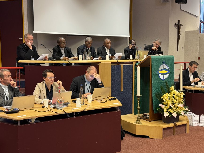 Intervention à l’assemblée plénière des évêques de France. Pour une nouvelle dynamique de la coopération missionnaire